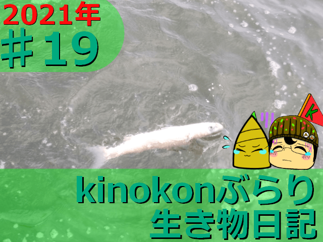 Thumbnail of post image 141